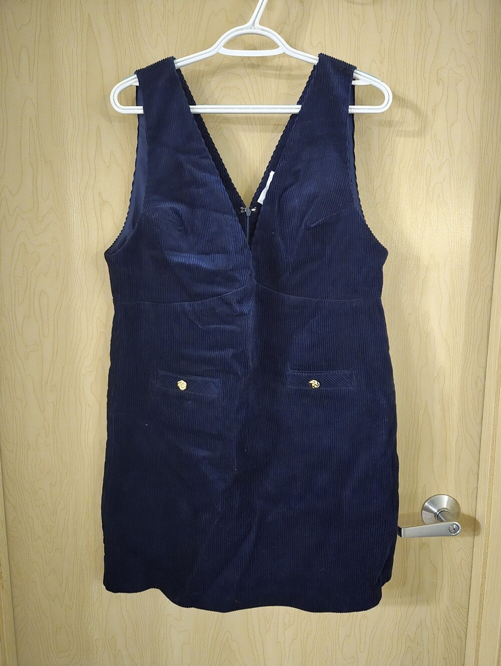NWT Lost+Wander Blue Velour Dress (L)